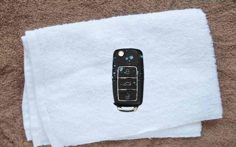 Dropped Car Key in Water